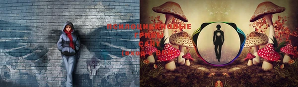 мдпв Баксан