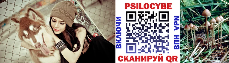 Псилоцибиновые грибы Magic Shrooms  наркошоп  Барабинск 